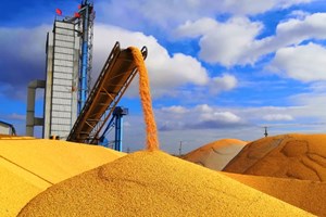 ເຂດຜະລິດທັນຍາຫານຕົ້ນຕໍຂອງຈີນໄດ້ເກັບຊື້ທັນຍາຫານໃນລະດູໃບໄມ້ຫຼົ່ນ 2023 ຫຼາຍກວ່າ 140 ລ້ານໂຕນ