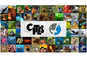 ວັນສັດປ່າ-ພືກສາຊາດໂລກ