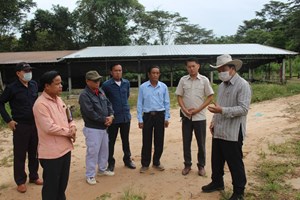 ເຈົ້າເມືອງອຸທຸມພອນ ລົງຊຸກຍູ້ຜູ້ປະກອບການລ້ຽງໝູພັນ