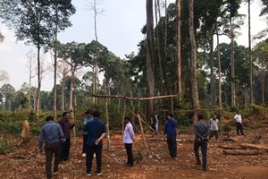 ສະກັດກັ້ນ ແລະ ປ້ອງກັນໄຟໄໝ້ລາມປ່າ