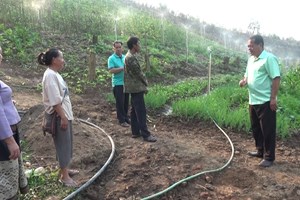 ການນໍາເມືອງພຽງຊຸກຍູ້ປະຊາຊົນປູກຜັກແບບປະສົມປະສານ  