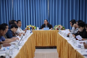 ກອງປະຊຸມປະກອບຄຳເຫັນໃສ່ຮ່າງນິຕິກຳ 4 ສະບັບ