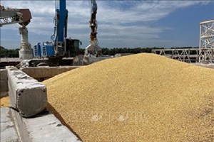 ໂປໂລຍ ແລະ ອູແກຣນ ບັນລຸຂໍ້ຕົກລົງໃນການຂົນສົ່ງທັນຍາພືດ