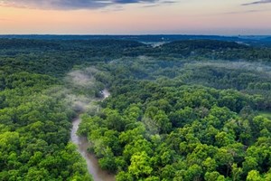 ປະລິມານການຕັດຕົ້ນໄມ້ໃນເຂດອາມາຊອນ ໃນປີ 2023 ຫຼຸດລົງ 62%