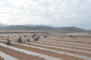 ປີ 2023 ເສດຖະກິດ-ສັງຄົມເມືອງຊຽງຮອນຂະຫຍາຍຕົວດີຂຶ້ນ