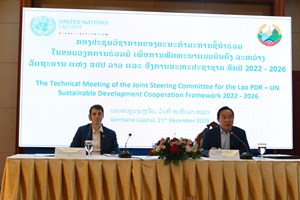 ກອງປະຊຸມວິຊາການໃນຂອບວຽກການຮ່ວມມື ເພື່ອການພັດທະນາແບບຍືນຍົງ