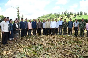 ປູກພືດໝູນວຽນເນື້ອທີ່3,50ຮຕສ້າງລາຍຮັບເຂົ້າຄອບຄົວ90ລ້ານກີບຕໍ່ປີ