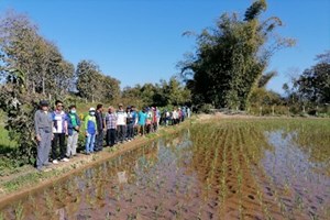 ການພັດທະນາໂຄ່ງລ່າງຊົນນະບົດ ພາກເໜືອ ຈັດຕັ້ງປະຕິບັດສໍາເລັດ 100%