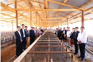 ທຫລ ຊຸກຍູ້ຈັດຕັ້ງປະຕິບັດນະໂຍບາຍສິນເຊື່ອເພື່ອກະຕຸ້ນເສດຖະກິດ ແລະ ນະໂຍບາຍສິນເຊື່ອ ກະຈາຍແຫຼ່ງທຶນສູ່ທ້ອງຖິ່ນ