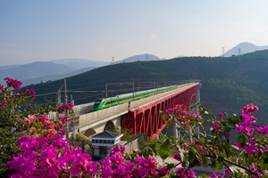 ເສັ້ນທາງການຂົນສົ່ງແຫ່ງຄໍາ ປະກົດມີພະລັງຊີວິດອັນແຂງແຮງ