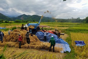 ຊາວກະສິກອນເມືອງຫົງສາ ເກັບກ່ຽວເຂົ້ານາປີສຳເລັດແລ້ວ 53%