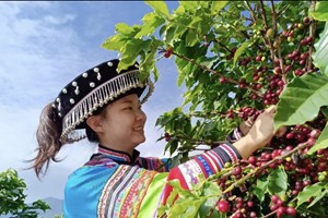 ບ້ານຊິນຈາຍໃຊ້ລະບົບອິນເຕີເນັດຄວາມໄວເຮັດກິດຈະກຳຂອງບ້ານ