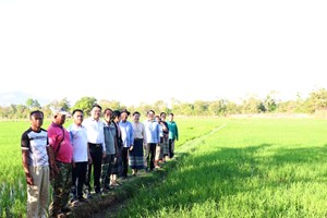 ສະຫະກອນບ້ານໜອງໃສ-ນາໂພເລີນເລີ່ມທົດລອງຜະລິດຜະລິດຕະພັນເຂົ້າ