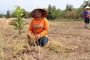 ກະສິກໍາແບບປະສົມປະສານຄົບວົງຈອນບ້ານນາຕານມີຜົນສໍາເລັດເປັນຢ່າງດີ