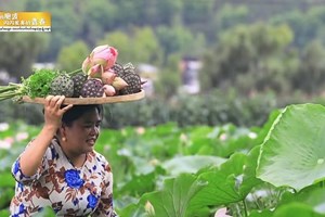 ແຂວງຢຸນນານມີພູຜາ ແມ່ນໍ້າໃສ ແລະ ຊາວຢຸນນານກໍເປັນຄົນໃຈດີ