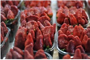 ອິດສະຣາແອນ ພັດທະນາວິທີຮັກສາຄວາມສົດຂອງຜັກ-ໝາກໄມ້ 