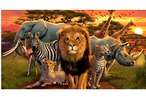 ສປຊ ກ່າວເຕືອນກ່ຽວກັບສະພາບການຄ້າຂາຍສັດປ່າ