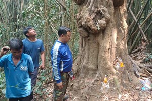 ການນຳເມືອງນອງ ສຳຫຼວດແຫຼ່ງທ່ອງທ່ຽວທາງທຳມະຊາດຕົ້ນຝົນແສນຫ່າ ທີ່ບ້ານຕະຫຼີງ