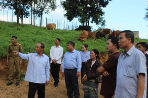 ເຈົ້າແຂວງຫຼວງພະບາງ ຊຸກຍູ້ການປູກ-ການລ້ຽງຢູ່ບ້ານພູຜັກແພວ