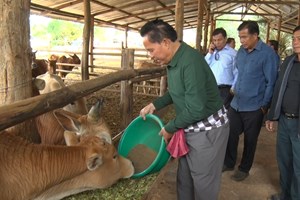 ສີ່ສິບປີ ແຫ່ງການພັດທະນາເສດຖະກິດຂອງແຂວງບໍລິຄໍາໄຊ 