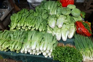 ທົ່ວປະເທດມີກຸ່ມຜະລິດພືດຜັກ 1.880 ກຸ່ມ ສາມາດສະໜອງຕາມຄວາມຕ້ອງການຂອງຜູ້ບໍລິໂພກ