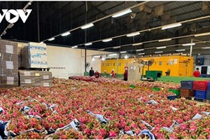 ຫວຽດນາມ ຈະສົ່ງອອກຜະລິດຕະພັນກະເສດຫຼາຍກວ່າ 26 ຕື້ໂດລາ ໃນປີ 2030