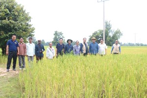 ຮອງເລຂາພັກແຂວງ ລົງເບິ່ງສະຖານທີ່ຈະກໍ່ສ້າງອ່າງເກັບນ້ຳ-ຝາຍນໍ້າລົ້ນ ເມືອງຊົນນະບູລີ