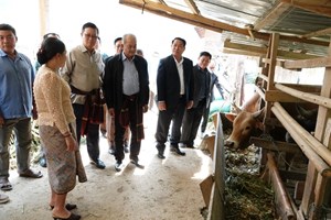 ຮອງນາຍົກລັດຖະມົນຕີ ຢ້ຽມຢາມເມືອງໝອກ