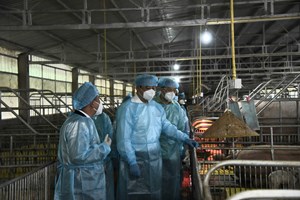 ທ່ານນາຍົກລັດຖະມົນຕີ ສືບຕໍ່ເຄື່ອນໄຫວຊຸກຍູ້ການຜະລິດຢູ່ເມືອງຜົ້ງສາລີ