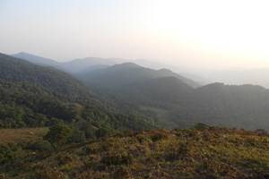 ການຈັດຕັ້ງປະຕິບັດນະໂຍບາຍການມອບດິນ-ມອບປ່າ ໃຫ້ປະຊາຊົນນໍາໃຊ້ ແລະ ຄຸ້ມຄອງ ໄລຍະຜ່ານມາ 