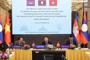 ກຳປູເຈຍ-ລາວ-ຫວຽດນາມປຶກສາຫາລືການຮ່ວມມືດ້ານເສດຖະກິດວັດທະນະທໍາ-ສັງຄົມຢູ່ສາມຫຼ່ຽມພັດທະນາ 