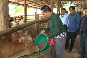 ບໍລິຄຳໄຊ ວາງແຜນພັດທະນາເສດຖະກິດ-ສັງຄົມ 5 ປີຄັ້ງທີ Vຫຼາຍດ້ານ