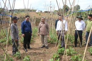 ຮອງເຈົ້າແຂວງຜົ້ງສາລີຊຸກຍູ້ບັນດາກິດຈະການທີ່ຈັດຕັ້ງປະຕິບັດຢູ່ເມືອງບຸນເໜືອ