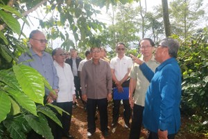 ເຈົ້າແຂວງສາລະວັນ ພົບປະຄອບຄົວຜູ້ປູກກາເຟເປັນສິນຄ້າຢູ່ເມືອງເລົ່າງາມ