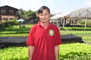 ປູກຜັກປອດສານພິດຂາຍກາຍເປັນຄອບຄົວຕົວແບບຂອງເມືອງພຽງ