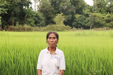 ຈາກຄອບຄົວທຸກຍາກ ສູ່ຄອບຄົວມີລາຍຮັບ ແລະ ເພິ່ງພາຕົນເອງ ດ້ວຍການປູກເຂົ້າ