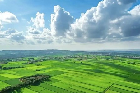 ຈີນ ວາງແຜນເລັ່ງລັດການຫັນກະສິກຳ ແລະ ຊົນນະບົດສູ່ຄວາມທັນສະໄໝ