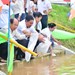 ຈຳປາສັກ ປ່ອຍປາຄືນສູ່ທຳມະຊາດ ແມ່ນໍ້າເຊໂດນ.