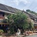 ກຳລັງແຮງແຫ່ງການແລກປ່ຽນເຊື່ອມໂຍງທາງອະລິຍະທຳຈາກຄວາມນິຍົມການທ່ອງທ່ຽວຢູ່ຫຼວງພະບາງ
