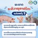 ພ້ອມກັນເພີ່ມທະວີເຝົ້າລະວັງ ສະກັດກັ້ນ ພະຍາດອະຫິວາໝູອາຟຣິກກາ