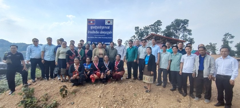 ການນໍາແຂວງຫຼວງພະບາງ ຊຸກຍູ້ການປູກກາເຟໃຕ້ຮົ່ມໄມ້ ຢູ່ບ້ານມົກວັດ