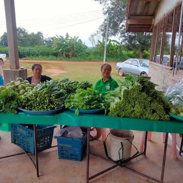 ຜົນສຳເລັດໃນການຈັດຕັ້ງກຸ່ມ ແລະ ສະຫະກອນການຜະລິດກະສິກຳ