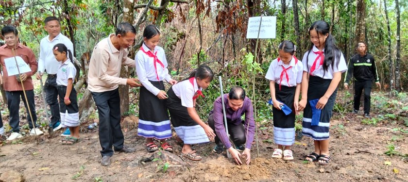 ປີນີ້, ເມືອງປາກກະດິງຈະປູກໄມ້ໃຫ້ໄດ້ 774,4 ເຮັກຕາ