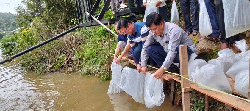 ປາກກະດິງ ປ່ອຍລູກປາ 20,000 ໂຕ ລົງສູ່ແມ່ນ້ຳທຳມະຊາດ