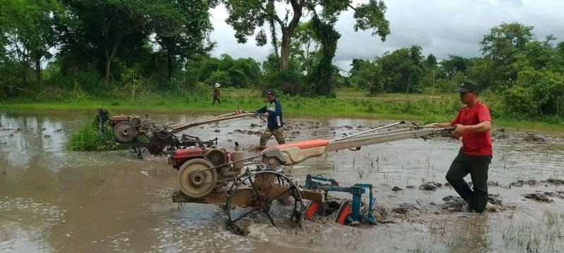 ຄໍາມ່ວນປັກດໍາເຂົ້ານາປີສໍາເລັດ84,816 ເຮັກຕາ