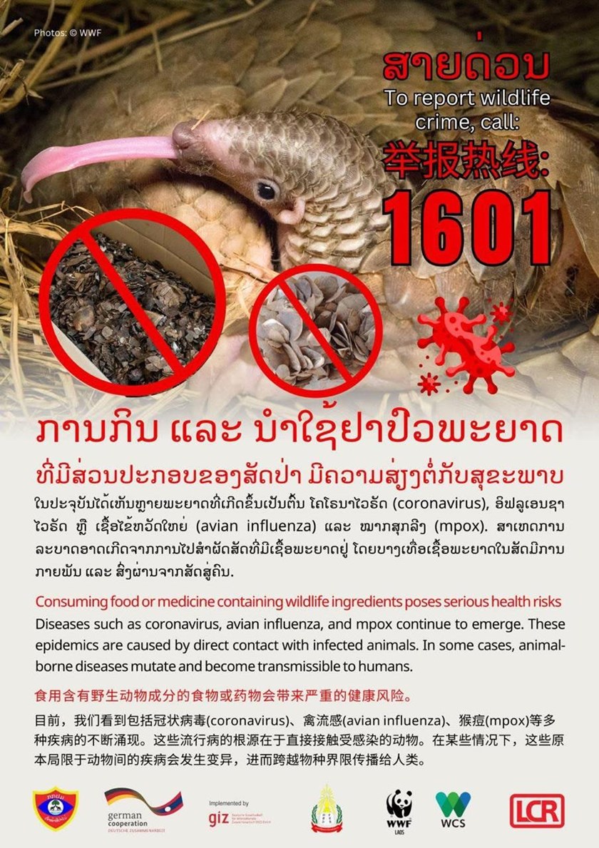 ການດໍາເນີນຄະດີຕໍ່ກັບການກະທໍາຜິດກ່ຽວກັບຊັບພະຍາກອນທໍາມະຊາດ ແລະ ສິ່ງແວດລ້ອມ