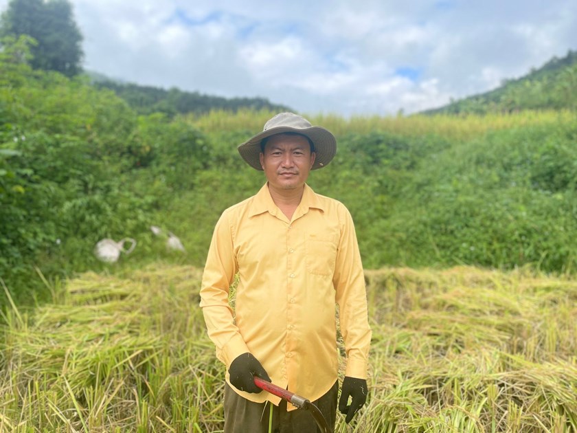 ຊາວກະສິກອນ ບ້ານສົມບຸນ ຂຸ້ນຂ້ຽວເກັບກ່ຽວເຂົ້ານາປີ