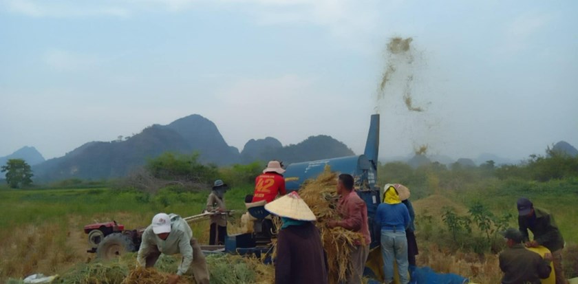ປັດຈຸບັນຄໍາມ່ວນເກັບກ່ຽວເຂົ້ານາປີໄດ້ແລ້ວ 21,010 ເຮັກຕາ