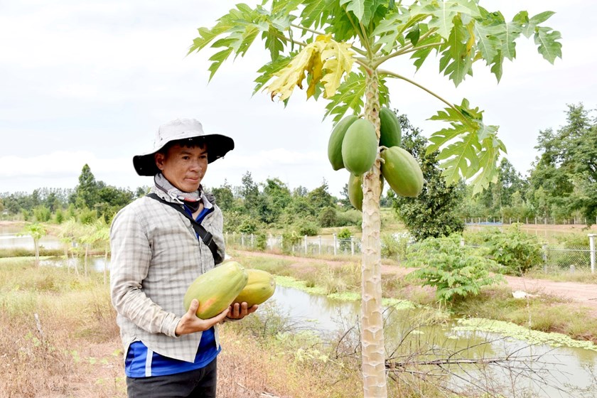 ນັກທຸລະກິດໜຸ່ມຕັ້ງໃຈຢາກປ່ຽນແປງພື້ນທີ່ແຫ້ງແລ້ງກາຍມາເປັນພື້ນທີ່ສວນທີ່ອຸດົມສົມບູນ