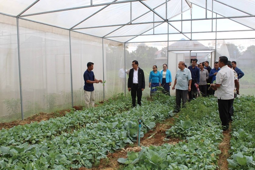 5 ປີ ເມືອງທ່າແຕງ ຈະສູ້ຊົນຜະລິດເຂົ້າໃຫ້ໄດ້ 108,000 ກວ່າໂຕນ